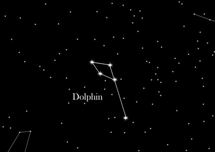 Constellation Dolphin