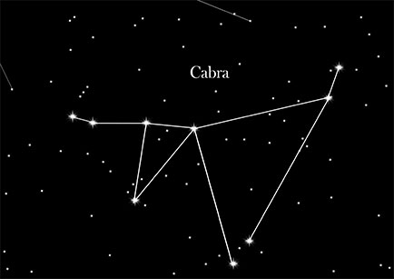 Constellation Goat