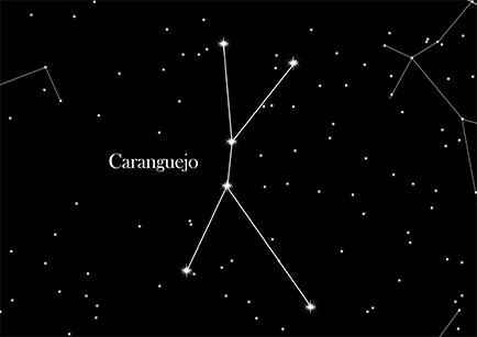 Constellation Crab