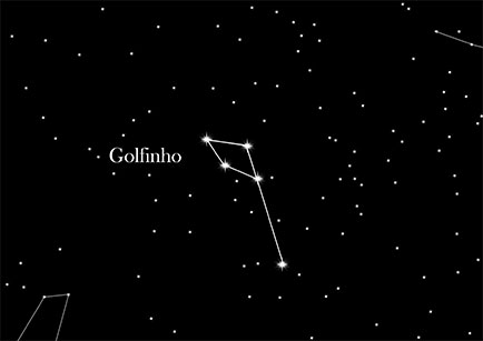 Constellation Dolphin