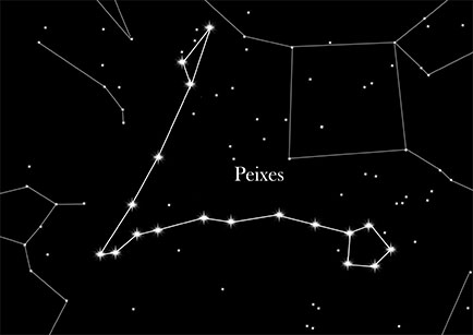 Constellation Fishes