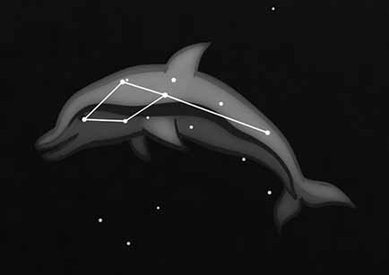 Delphinus