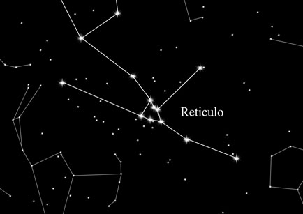 Constellation Bull