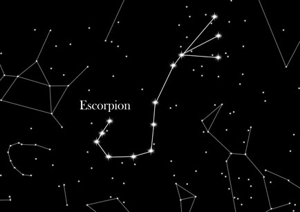 Constellation Scorpion