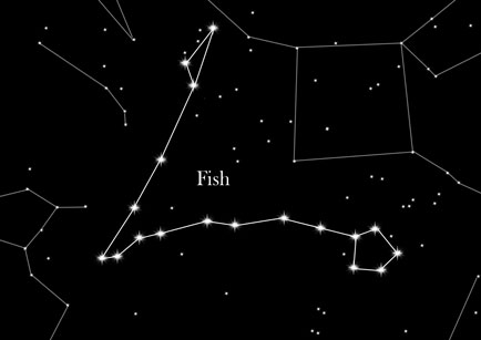 Constellation Fishes