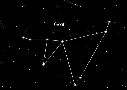 Constellation Goat